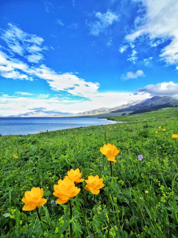 去了北疆才知道，中國有多大；去了南疆才知道，中國有多美