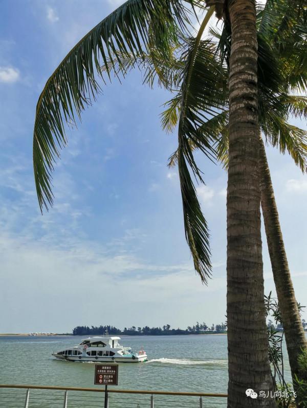 行走海南（10）在海南，看到了什麼 之 博鰲論壇+免稅店=？