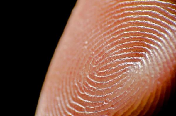 指紋是如何形成的？為什麼世界上不會有2個一模一樣的指紋？