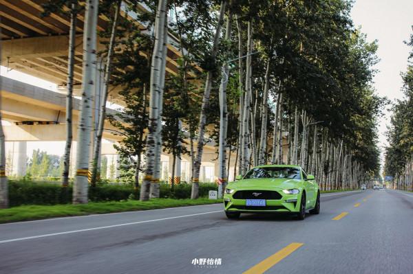 年輕人輕鬆實現的跑車夢,Mustang有何過人之處? 年輕人輕鬆實現的跑車夢,Mustang有何過人之處?