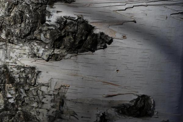 北京懷柔喇叭溝門原始森林遊記