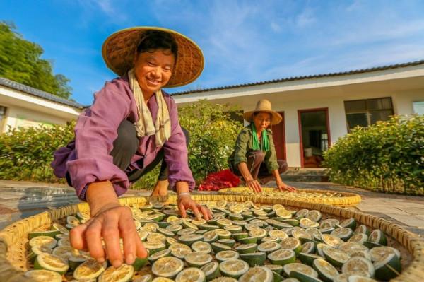 睡不著、半夜總醒?不過是魂不入肝罷了!張仲景的方子,擺脫失眠 睡不著、半夜總醒?不過是魂不入肝罷了!張仲景的方子,擺脫失眠