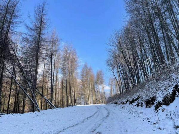 「陽光下的撒野」1月8號徒步雲海牧場，雪地秘境