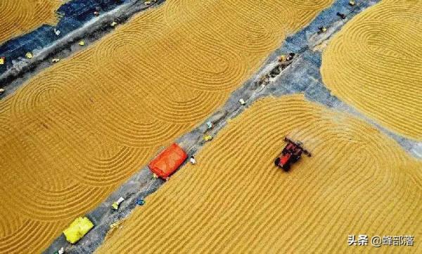 事關農業生產和水利救災，8&period;1億資金已下達，補助到21個省區