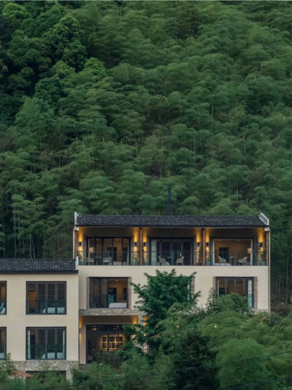 莫干山首家擁有明星代言網紅森林民宿，35米竹林滑梯丨宿裡FUN集