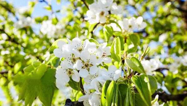 十大重名率最高的名字，要被這些驚豔的名字代替了