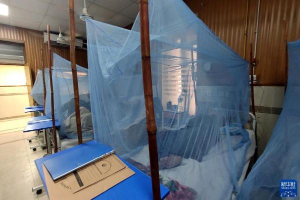 伊斯蘭堡登革熱病例數持續上升