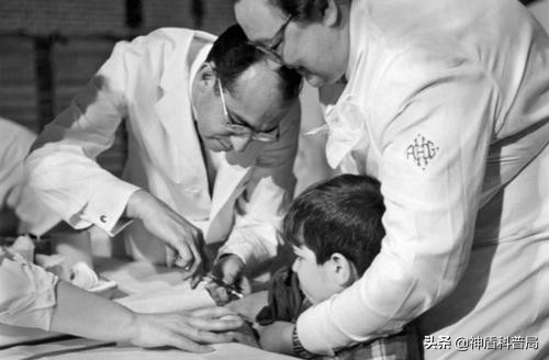 癌症能自行消除？在被稱為“惡魔”動物的身上，科學家發現了秘密