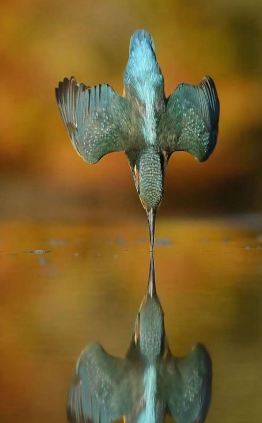 66張治癒強迫症的完美圖片，看完整個人都舒服了