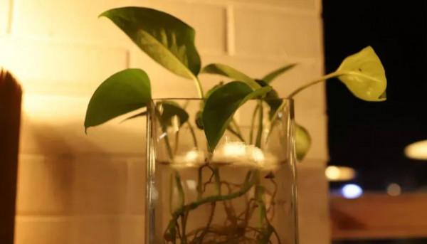 和什麼樣的人在一起,也是人生旅途的重要因素 和什麼樣的人在一起,也是人生旅途的重要因素