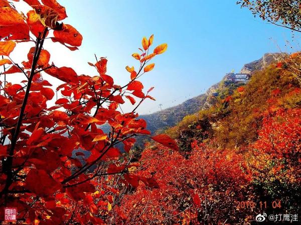 京郊藏了一條絕美國道，承包了京城最美秋色，秋意正濃，如詩如畫