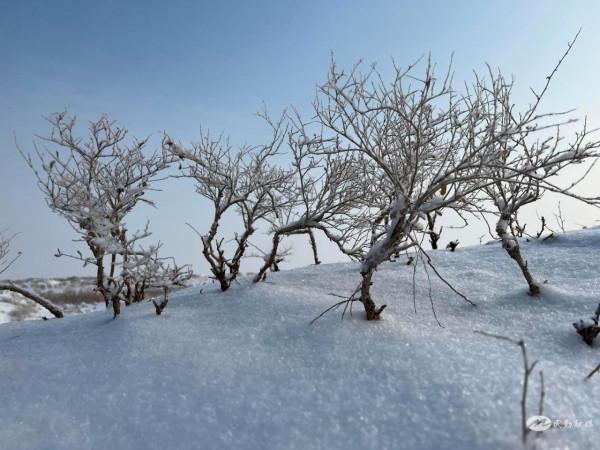 【北國風光&CenterDot;美麗民勤】雪落騰格里
