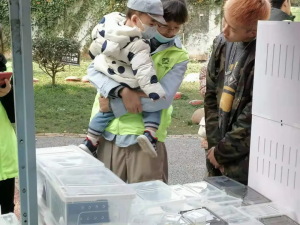 兩棲類大滅絕 竟能讓人患病？