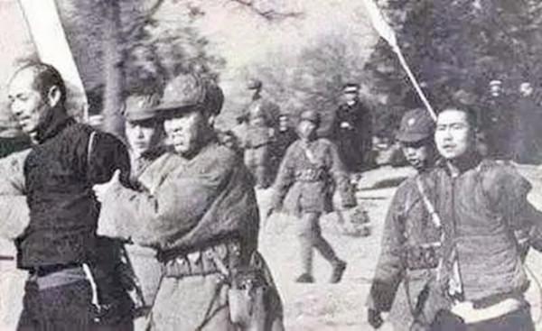 老獵人指點迷津，解放軍攻破土匪巢穴，洞中所藏之物令人咋舌