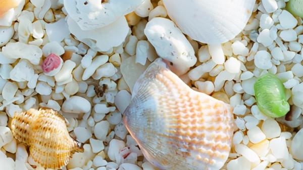 清朝,從日本手裡奪回一塊領土 清朝,從日本手裡奪回一塊領土