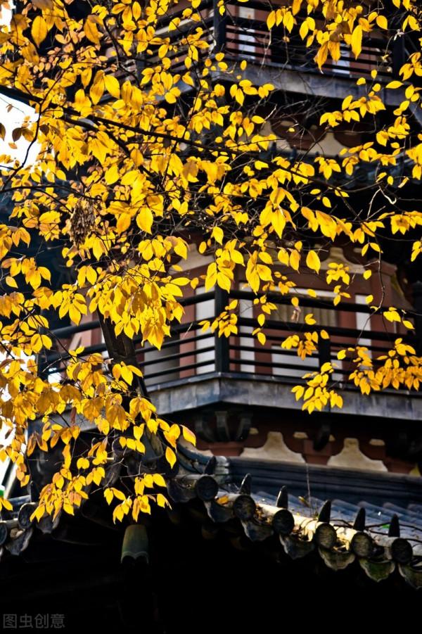 小而美的生活也是一種幸福 小而美的生活也是一種幸福