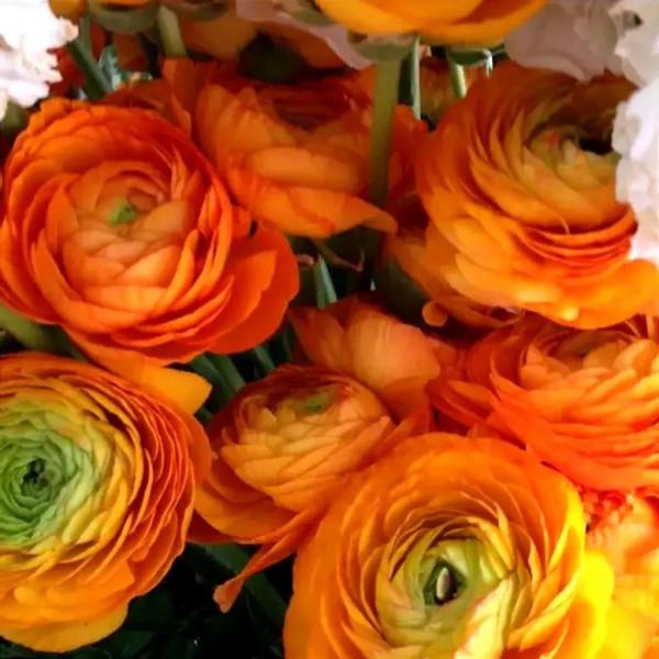 又是甜味瀰漫的一天