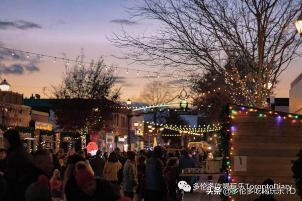 燈展、花展、聖誕集市…7個尼亞加拉瀑布冬季玩法已備好