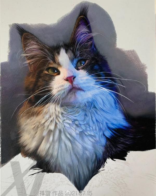 清華美院男神，被稱彩鉛界“冷軍”！他筆下的美少女令人牽魂夢繞