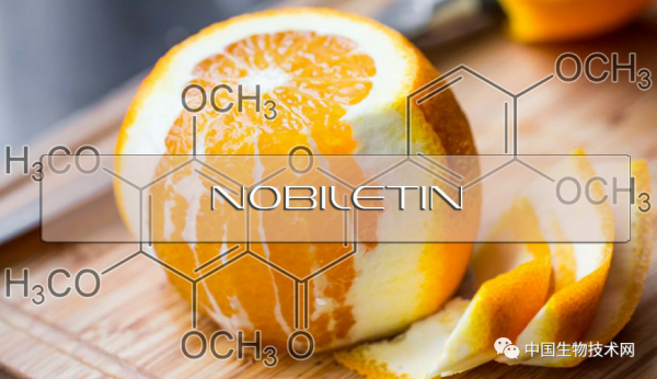 川陳皮素或能改善高脂飲食的危害，還具有預防餐後高脂血症的功效