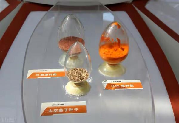 你見過“巨無霸”南瓜嗎？被送上太空的種子，會發生什麼變化？