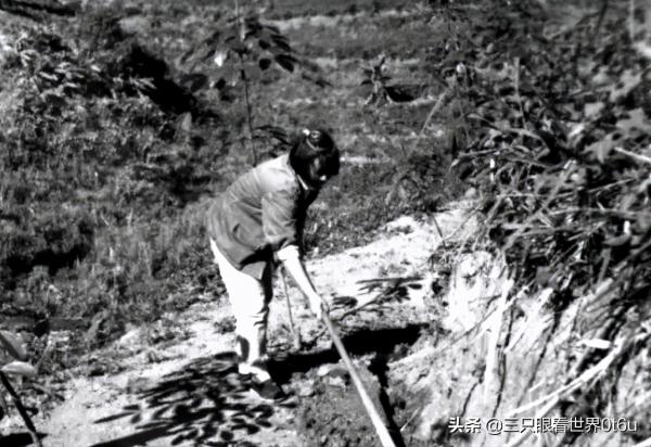 「知青往事」情葬巴山 「知青往事」情葬巴山