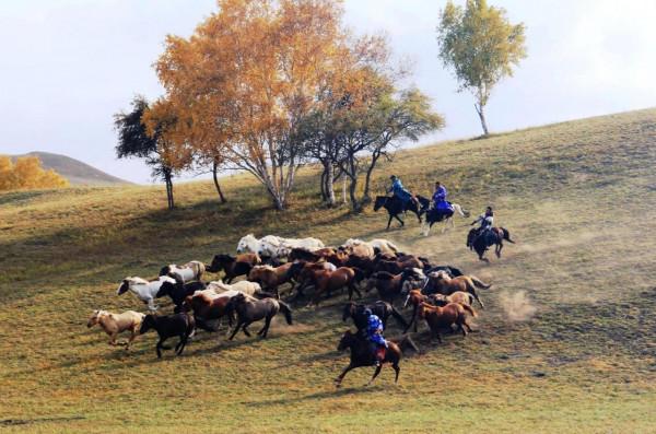 烏蘭布統的迷人秋色