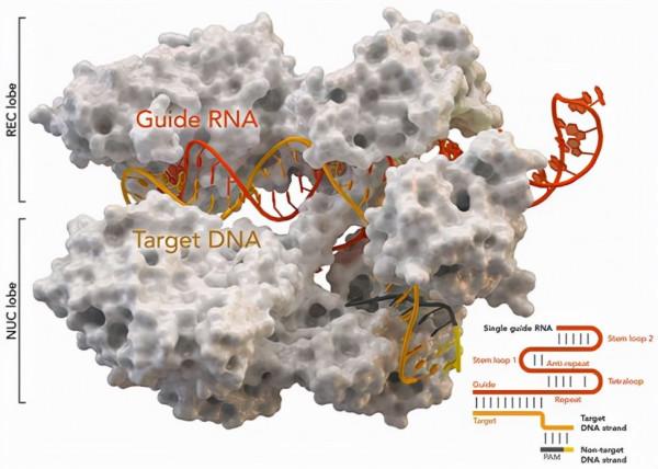 膝上型電腦推薦2021大學生專用版 膝上型電腦推薦2021大學生專用版