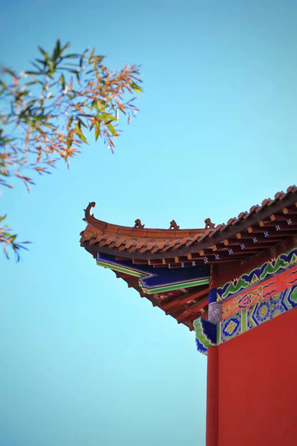 盤點2021年那些驚豔了時光的照片--王母山