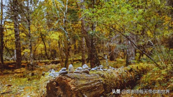 探訪冰川、峽谷徒步，睡在松贊新店，開啟一場自然大冒險