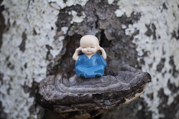 菩薩——橋 菩薩——橋