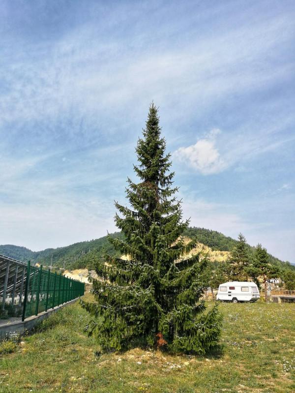 塞爾維亞和波黑之旅