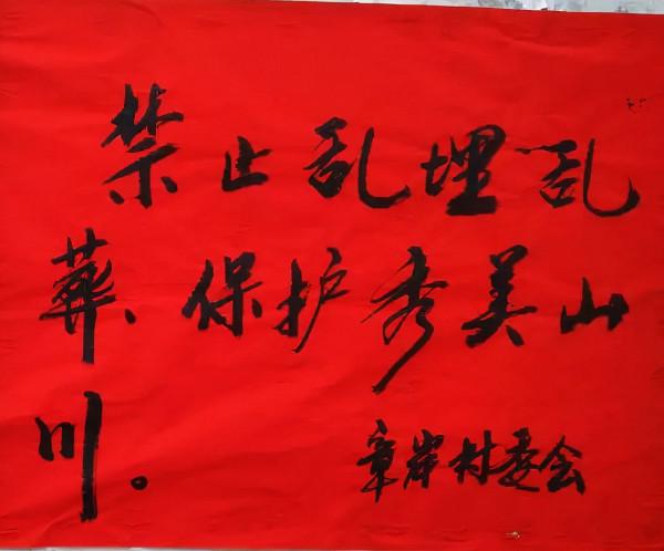 新中國成立初期,一對情侶妄圖策反政府高層,晚清幫派被捲入其中 新中國成立初期,一對情侶妄圖策反政府高層,晚清幫派被捲入其中