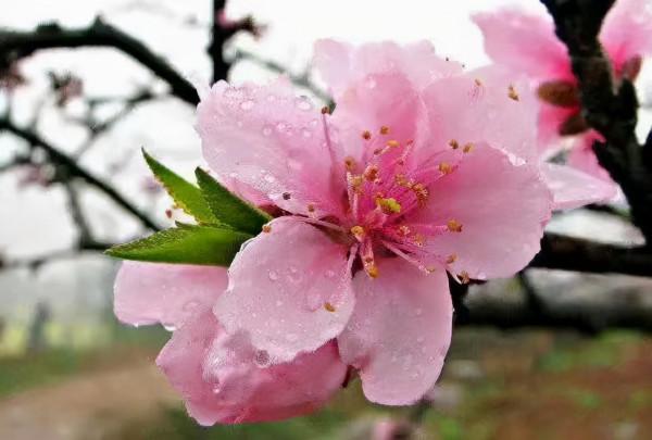 人到中年,聚散不驚,得失淡然,乃大智慧 人到中年,聚散不驚,得失淡然,乃大智慧