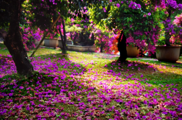 年度最佳旅行目的地!中國唯一上榜,這座養老小城照舊那麼美 年度最佳旅行目的地!中國唯一上榜,這座養老小城照舊那麼美