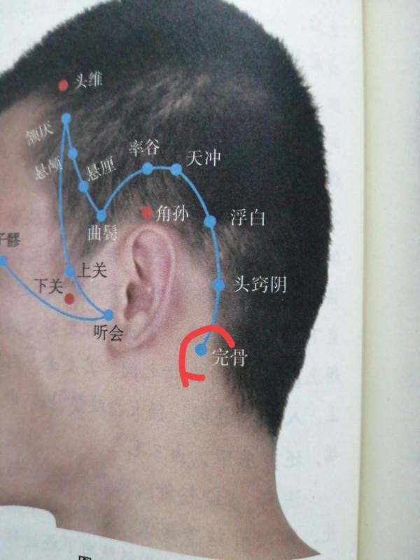 每日一穴——完骨穴 每日一穴——完骨穴