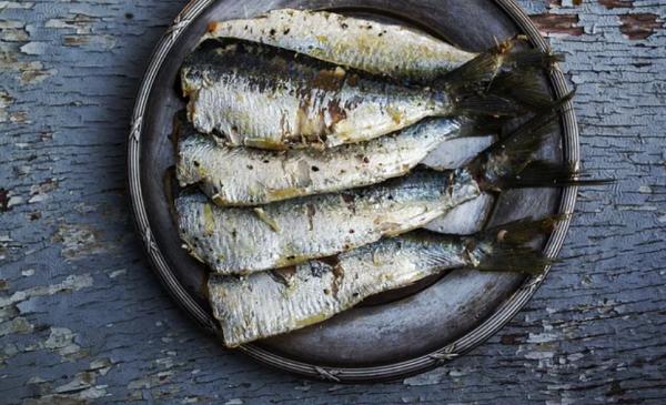 有助大腦健康的3種食物，您是否常吃呢？