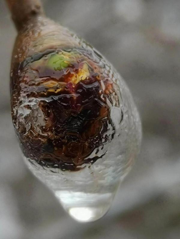 最賦有想向力的“藝術品” 最賦有想向力的“藝術品”