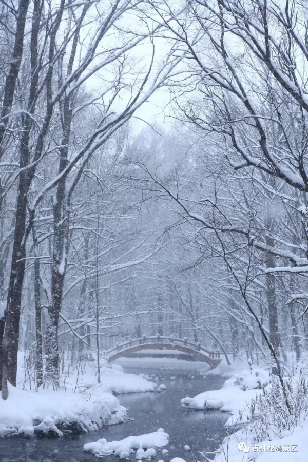 這樣的吊水壺，你愛了吧