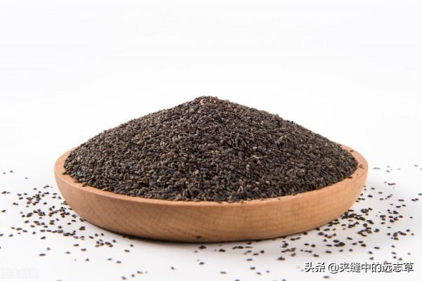 入冬養腎正當時，送你五味中藥，助腎封藏，平補陰陽