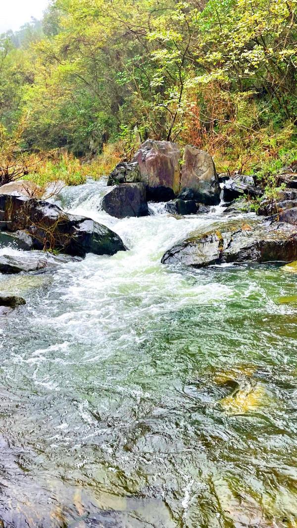 明天開始，這兩個景區免門票一個月