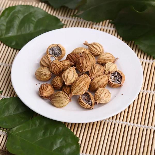 虛火內動，補腎清火反傷脾胃，遵《內經》：腎苦燥急食辛以潤之