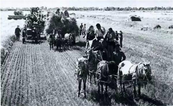 中國最特殊的省級行政區！毛主席為什麼要成立新疆生產建設兵團？