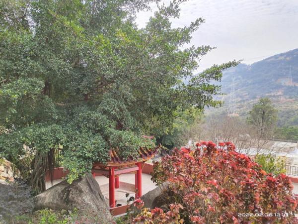 和平大峰,龍首環青,靈山留衣,虹橋跨練一日遊 和平大峰,龍首環青,靈山留衣,虹橋跨練一日遊