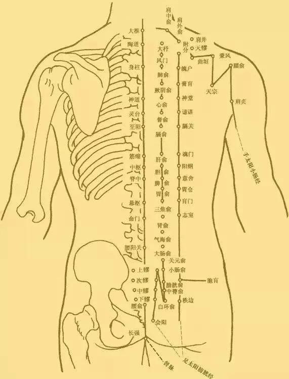 經常犯困,是得了不治之症嗎? 經常犯困,是得了不治之症嗎?