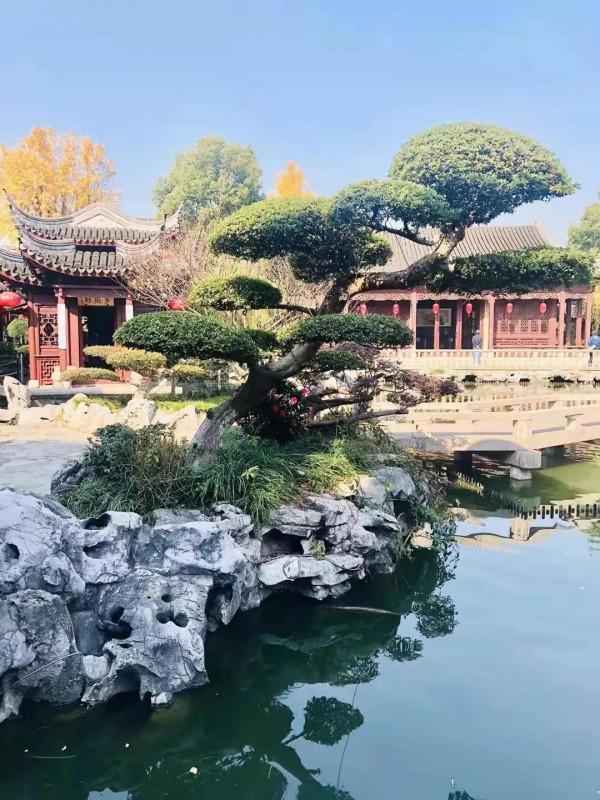 南翔時光（一）“古韻南翔”