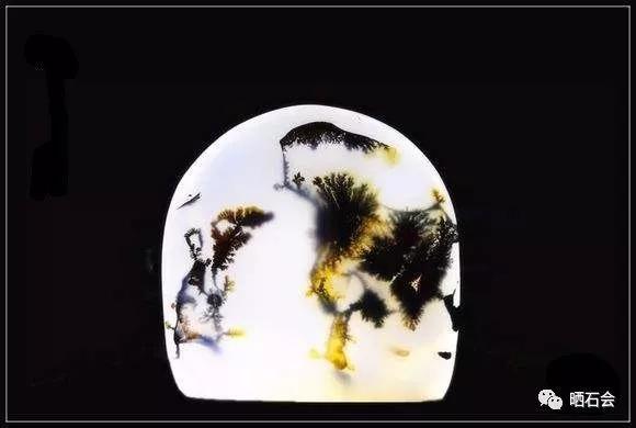 海底精靈（上）