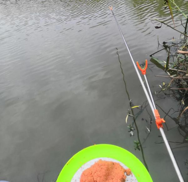 立冬後,臺釣和傳統釣哪個更香?大爺們已經給出了答案 立冬後,臺釣和傳統釣哪個更香?大爺們已經給出了答案