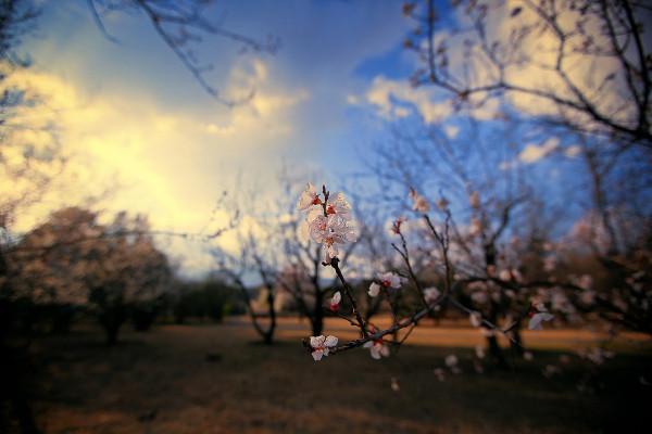 這一生，無論和誰相處，記住這幾句話