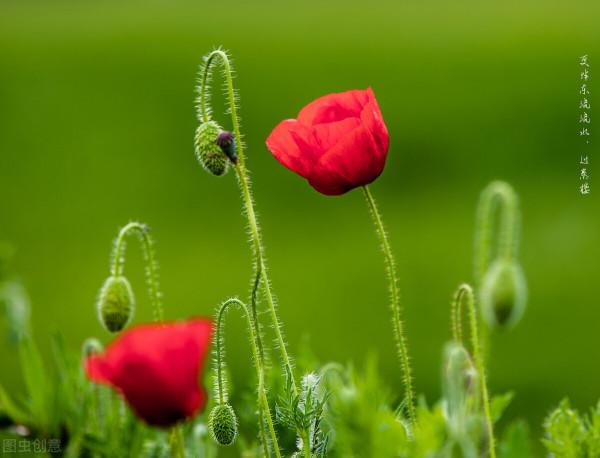 有一種修養，叫不說